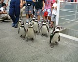 �y���M��