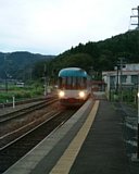 �^���S�E�f�B�X�J�o���[