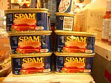 SPAM