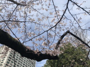 ������ No.1