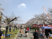 ������ No.1