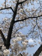 ������ No.2