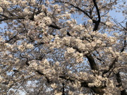 ������ No.3