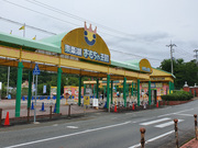 �������ቤ��