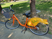 ���]�� No.1