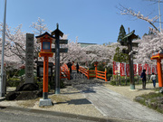 ������ No.1