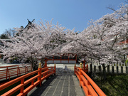 ������ No.3