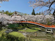 ������ No.4