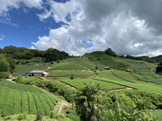 �����` No.3