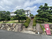 �����X No.1