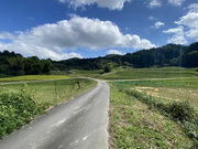 �����R No.2