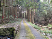 �����R No.4