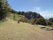 �啶���Ώ� No.1