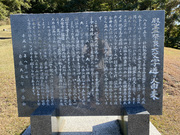 �啶���Ώ� No.2