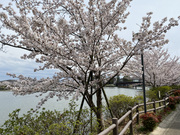 ������ No.1