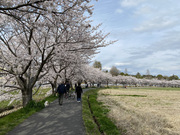 ������ No.2