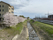 ������ No.3