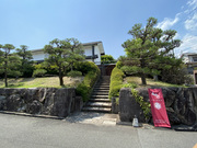 �����X No.1