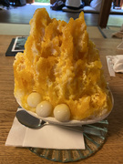 �����X No.2