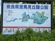 �n������ No.1