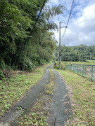 ���]�� No.3