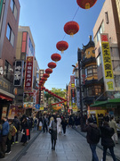 ���l���؊X No.2