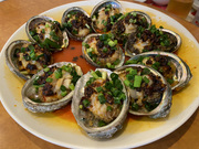 ������H No.9