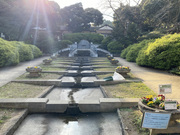 �~�b�V���� No.1