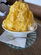 �����X No.2