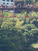 �̂ǂ��� No.4