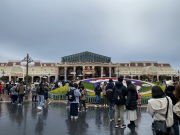 �f�B�Y�j�[�����h No.1