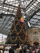 �f�B�Y�j�[�����h No.2