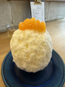 �����X No.2