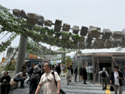 ��㖜�� No.11