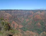 �J�E�A�C�� �ό� No.4