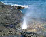 �J�E�A�C�� �ό� No.5