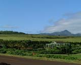 �J�E�A�C��