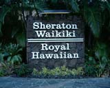 �V�F���g�� No.1